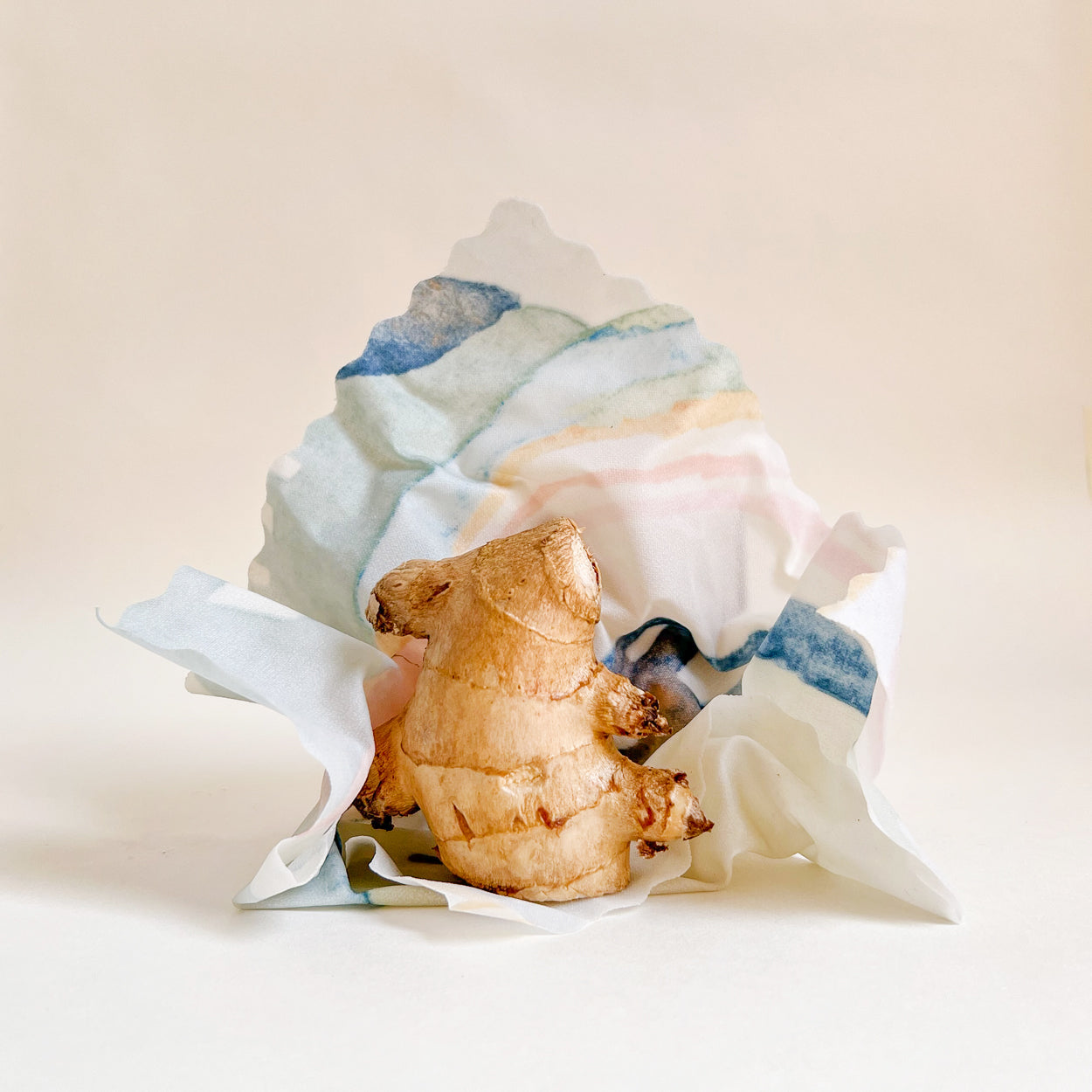 Kitchen Pro Bundle - Pack of 8 Beeswax Food Wraps